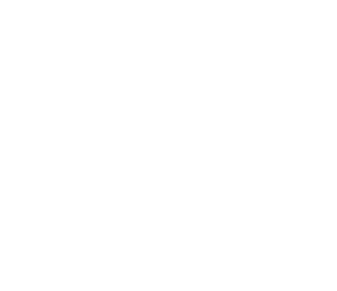 Rhino Goo Caravan Motorhome Cleaner
